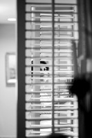 DSC_4045